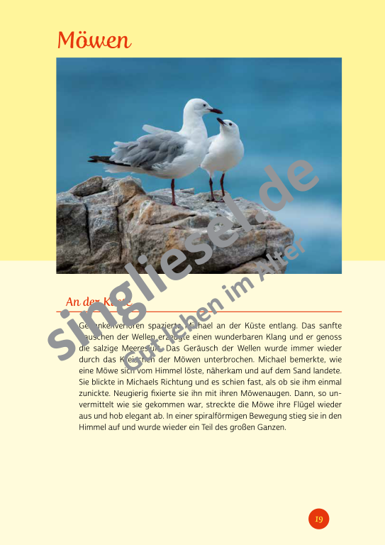 Beispielseiten der PDF: Kurzaktivierungen im Sommer - Beschätigungen für Senioren zum Thema kunterbunter Sommer Beispielseiten der PDF: Kurzaktivierungen im Sommer - Beschätigungen für Senioren zum Thema kunterbunter Sommer