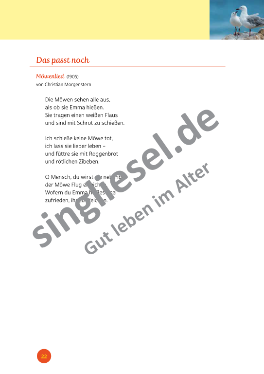 Beispielseiten der PDF: Kurzaktivierungen im Sommer - Beschätigungen für Senioren zum Thema kunterbunter Sommer Beispielseiten der PDF: Kurzaktivierungen im Sommer - Beschätigungen für Senioren zum Thema kunterbunter Sommer