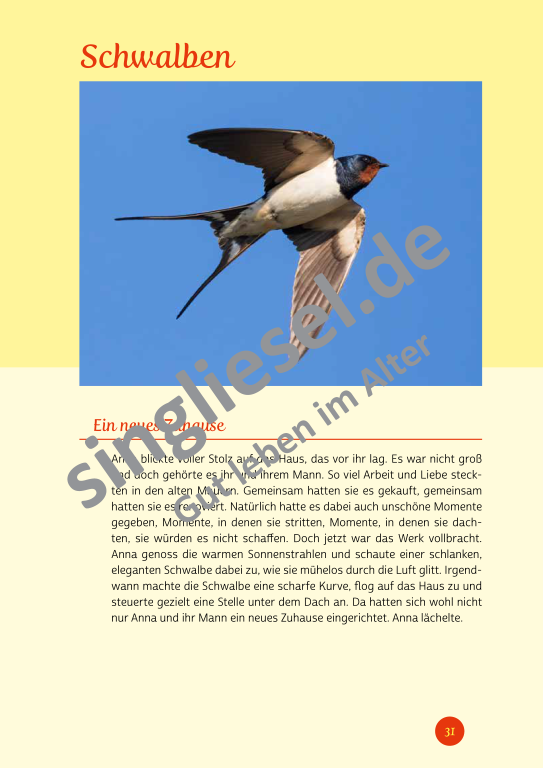 Beispielseiten der PDF: Kurzaktivierungen im Sommer - Beschätigungen für Senioren zum Thema Tiere im Sommer Beispielseiten der PDF: Kurzaktivierungen im Sommer - Beschätigungen für Senioren zum Thema Tiere im Sommer