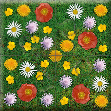 das-puzzle-fuer-menschen-mit-demenz-wiesenblumen-3