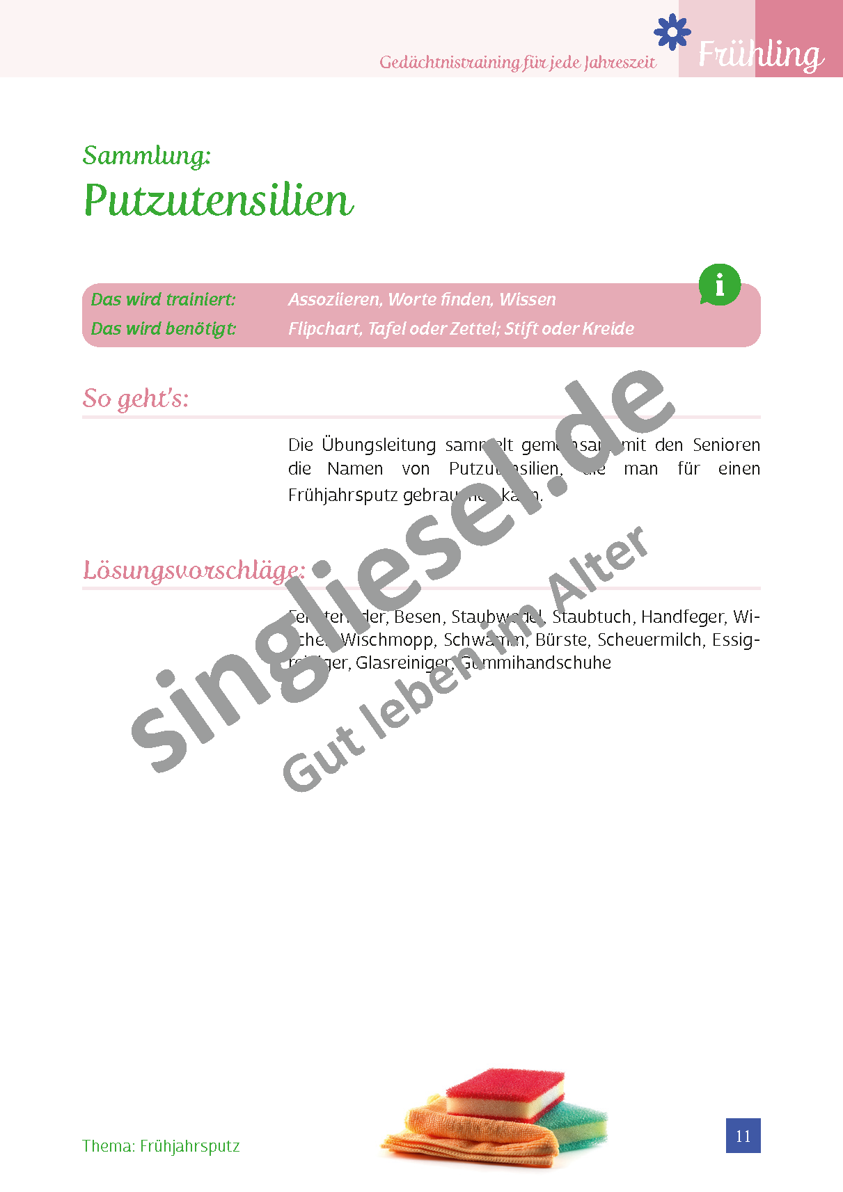ESD-0001-036-004__Vorschau-11 Gedächtnistraining für Senioren Frühling Frühjahrsputz Putzutensilien