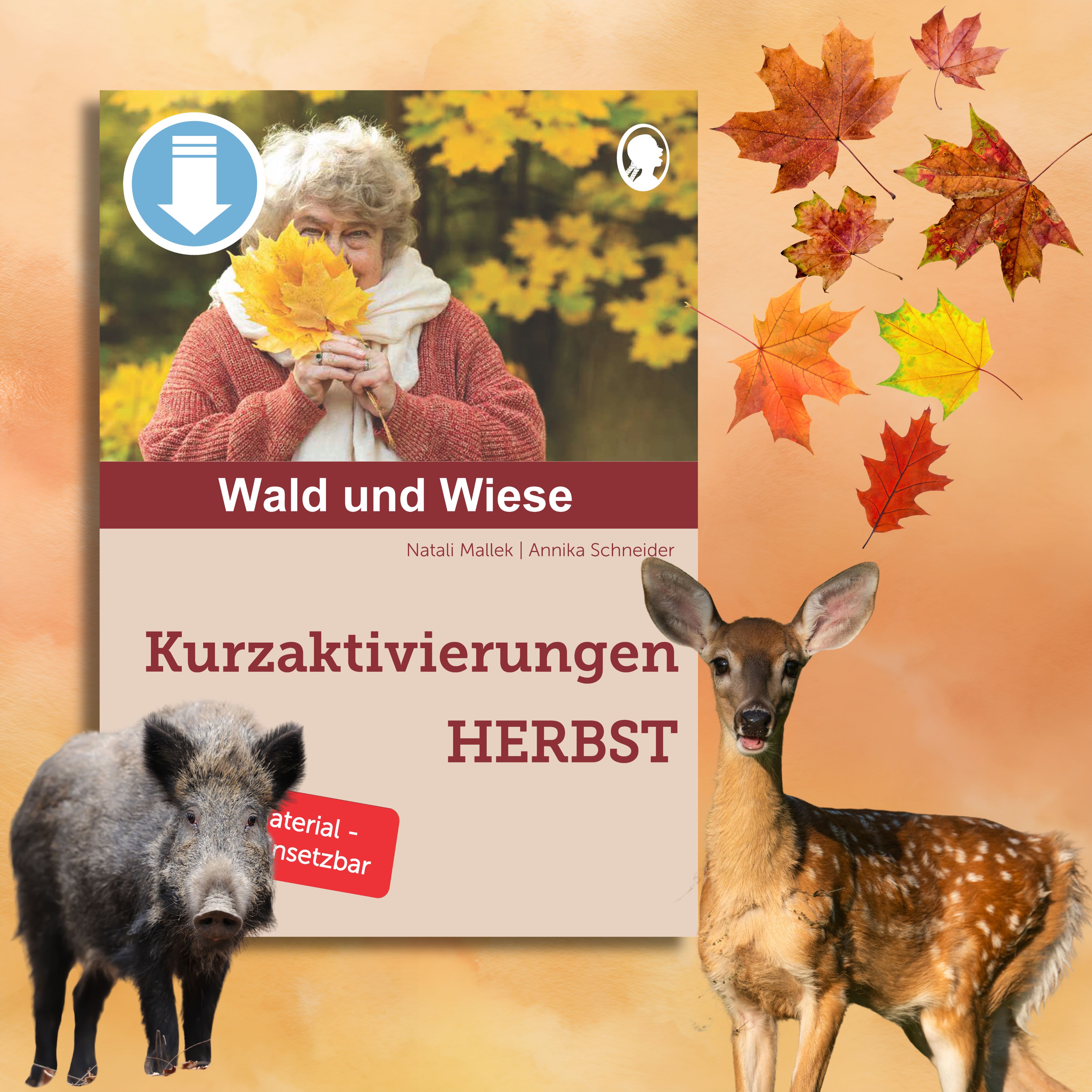 Cover des im Blogbeitrag „Aktive und gemütliche Herbsttage“ vorgestellten Artikels mit dem Titel: Wald und Wiese – Kurzaktivierungen Herbst