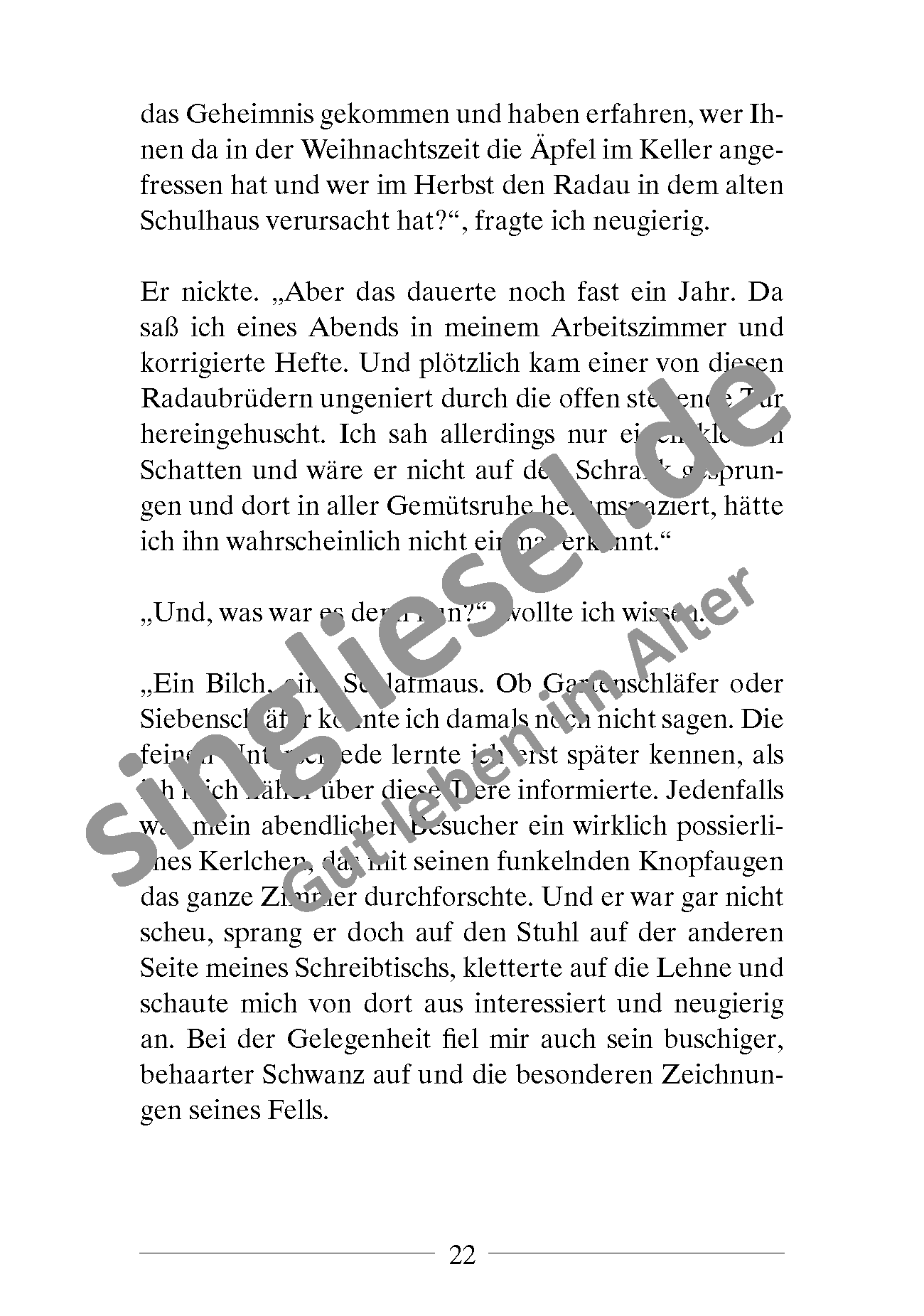 ESD-0001-0027-001_mit-Wasserzeichen_Seite_5 Kurzgeschichten für die Weihnachtszeit Sofort-Download als PDF Seite 3