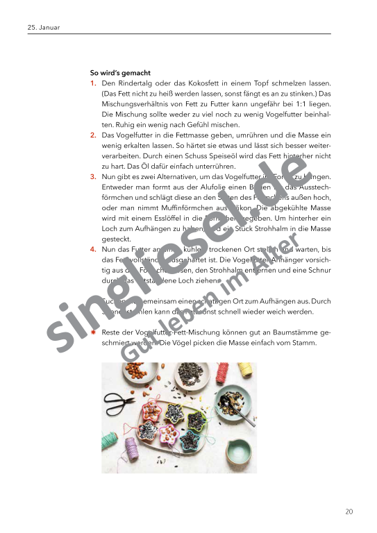 Beispielseiten aus: Von Neujahr bis Fasching  - Aktivierungspaket zu Festen und Bräuche für Senioren als PDF-Download Beispielseiten aus: Von Neujahr bis Fasching  - Aktivierungspaket zu Festen und Bräuche für Senioren als PDF-Download