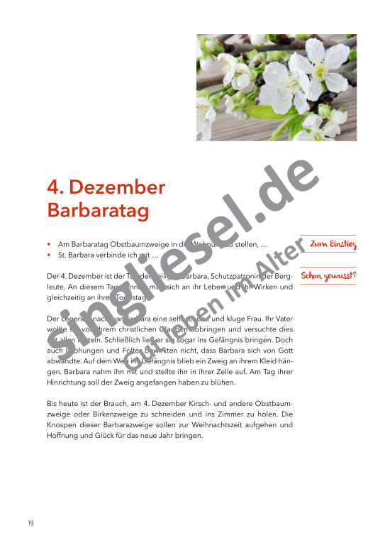 Beispielseiten: Von Allerheiligen bis Nikolaus - Aktivierungspaket zu Festen und Bräuche für Senioren als PDF-Download Beispielseiten: Von Allerheiligen bis Nikolaus - Aktivierungspaket zu Festen und Bräuche für Senioren als PDF-Download