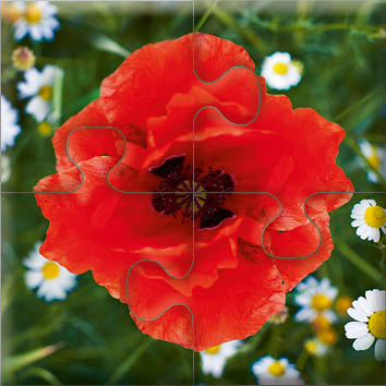 das-puzzle-fuer-menschen-mit-demenz-wiesenblumen-5