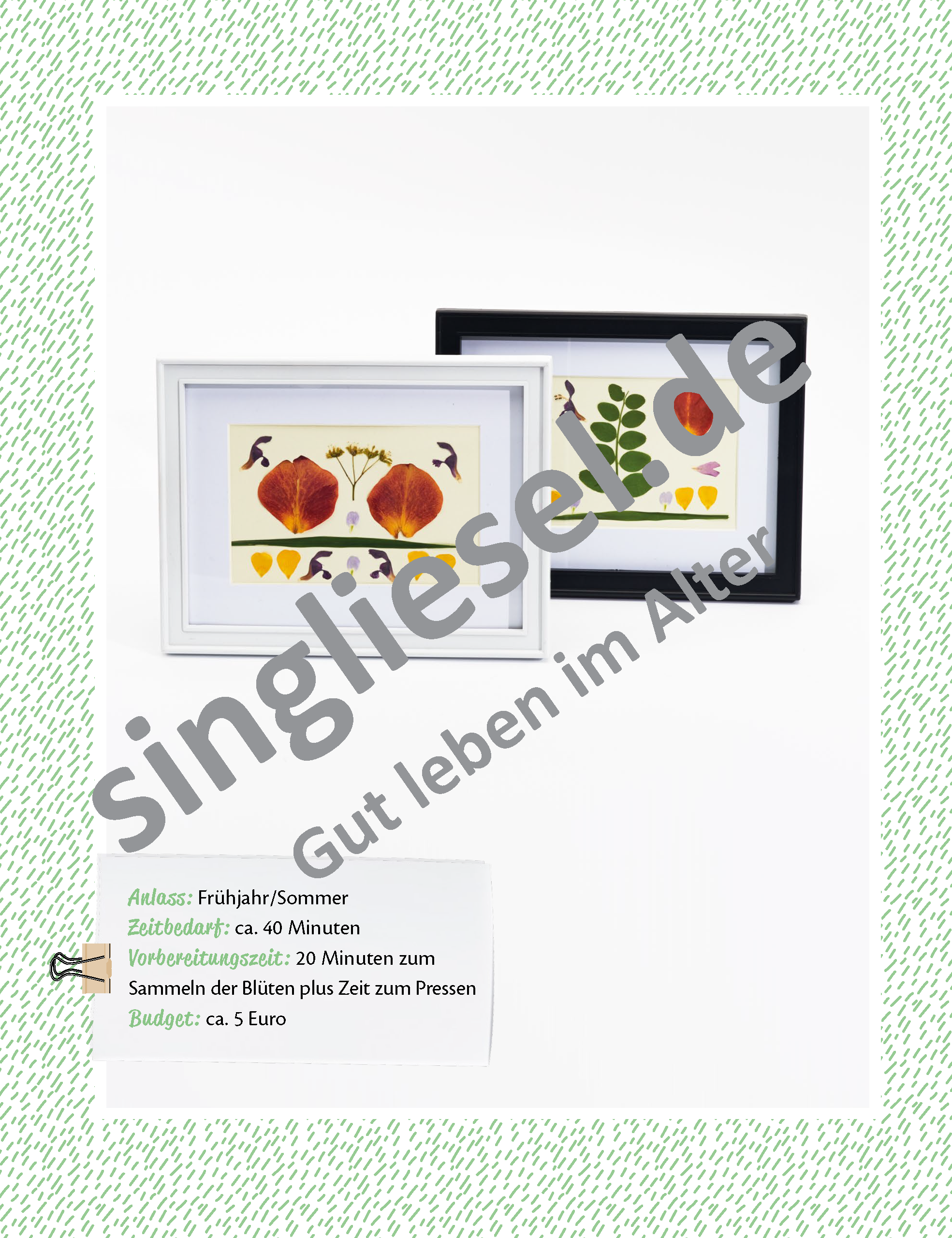 Beispielbild: Anleitung Blütenpalette  basteln - kreative Handarbeit für Senioren zur Beschäftigung als PDF-Download Beispielbild: Anleitung Blütenpalette  basteln - kreative Handarbeit für Senioren zur Beschäftigung als PDF-Download