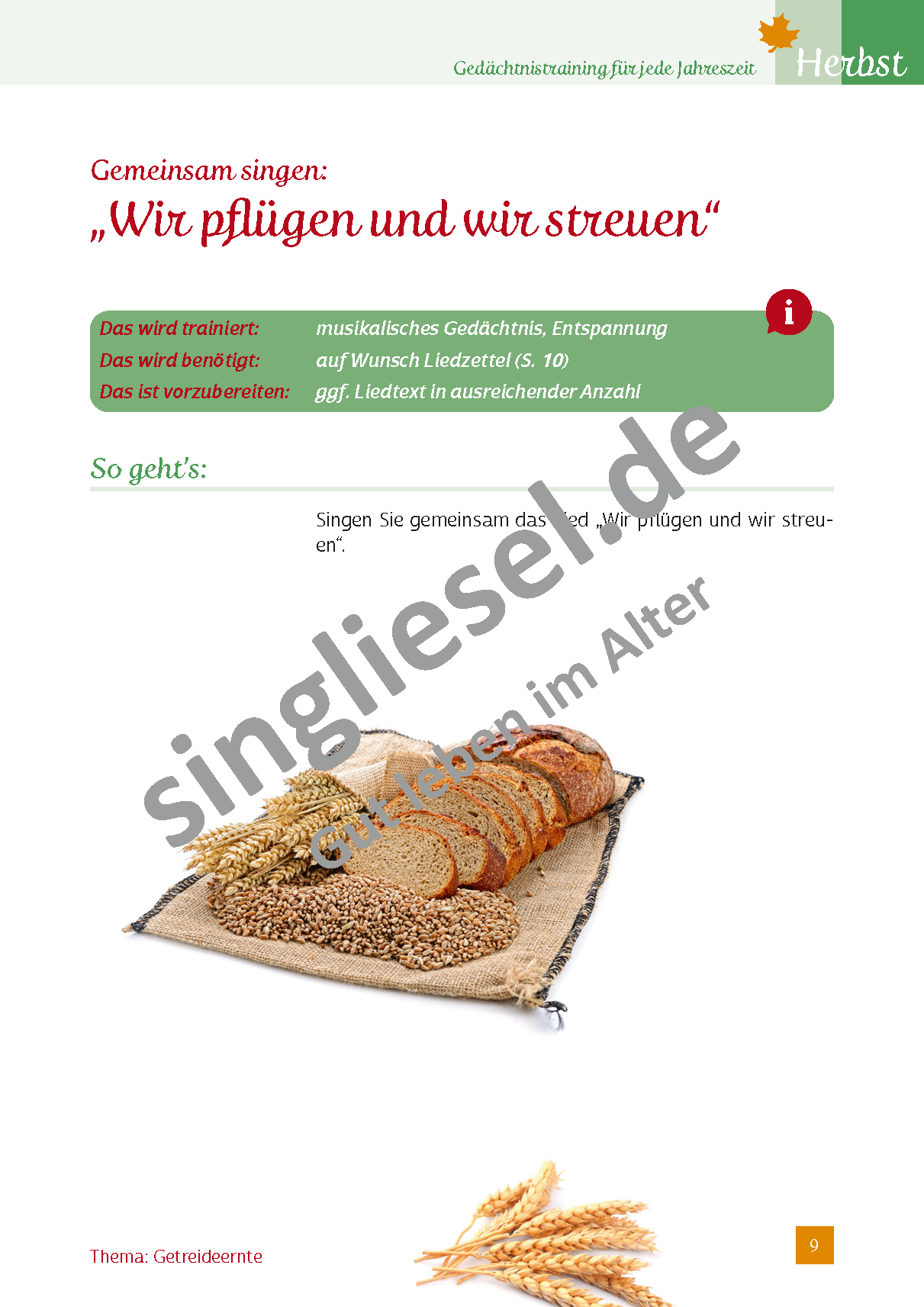 ESD-0001-024-002-Vorschau-9TSJdR1Gt5HuXK