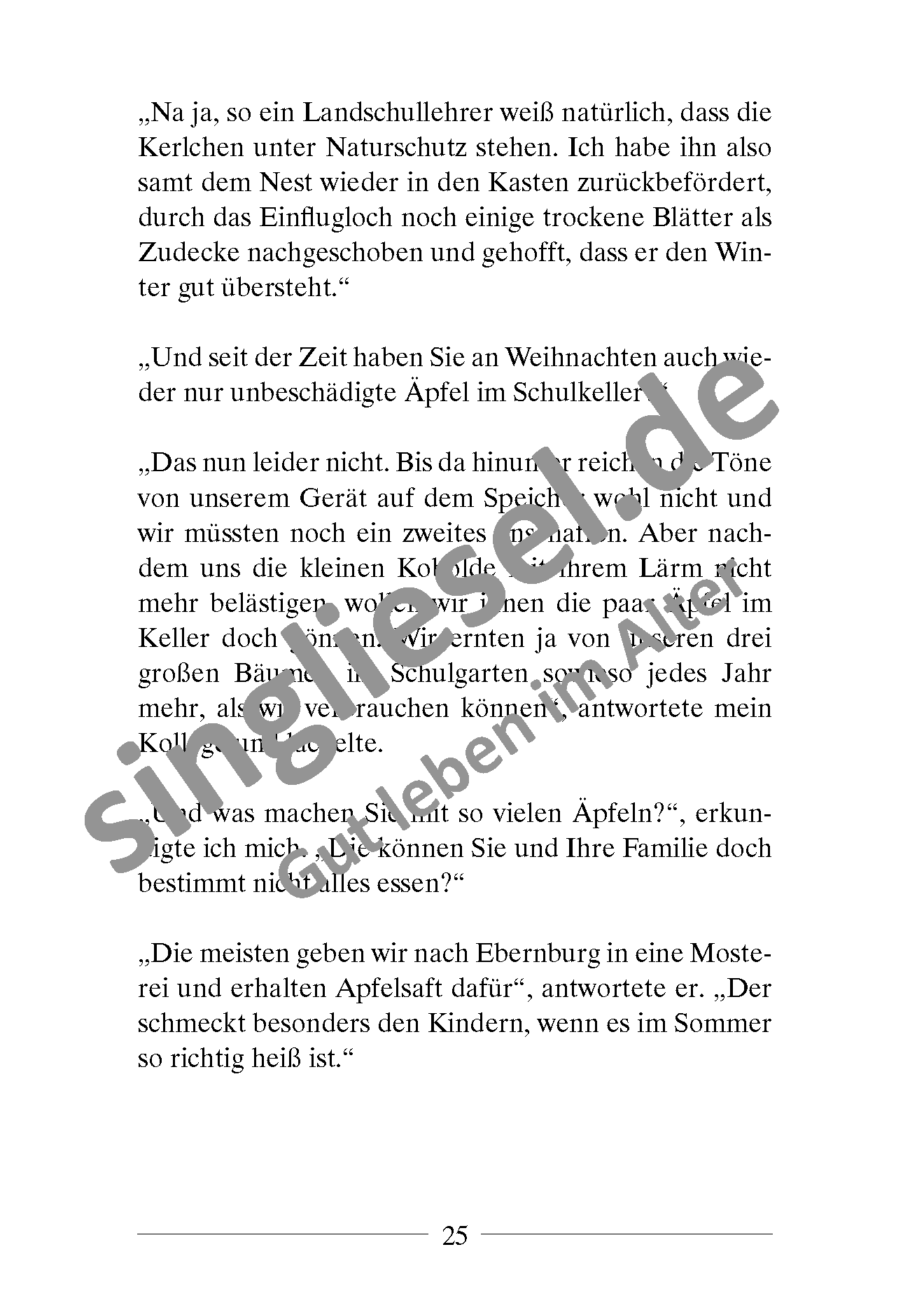 ESD-0001-0027-001_mit-Wasserzeichen_Seite_8 Kurzgeschichten für die Weihnachtszeit Sofort-Download als PDF Seite 6