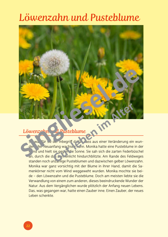 Beispielseiten der PDF: Kurzaktivierungen im Sommer - Beschätigungen für Senioren zum Thema Wald und Wiese Beispielseiten der PDF: Kurzaktivierungen im Sommer - Beschätigungen für Senioren zum Thema Wald und Wiese