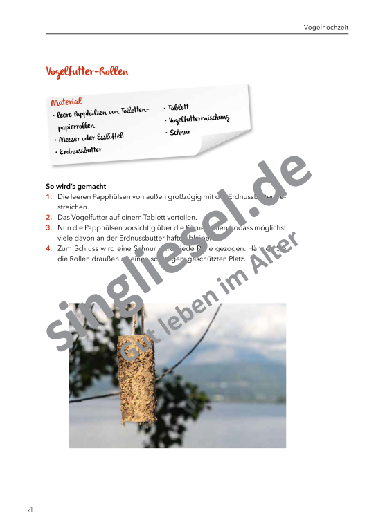 Beispielseiten aus: Von Neujahr bis Fasching  - Aktivierungspaket zu Festen und Bräuche für Senioren als PDF-Download Beispielseiten aus: Von Neujahr bis Fasching  - Aktivierungspaket zu Festen und Bräuche für Senioren als PDF-Download