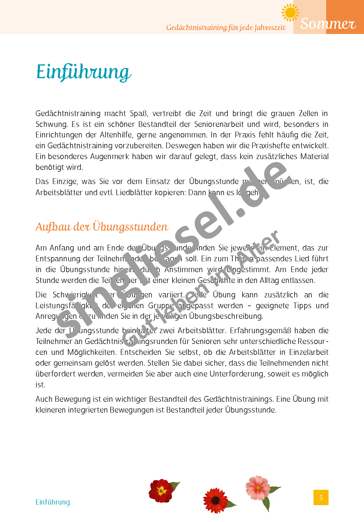 ESD-0001-037-005__Vorschau-5 Gedächtnistraining Senioren. Sommer. Abkühlung Einleitung