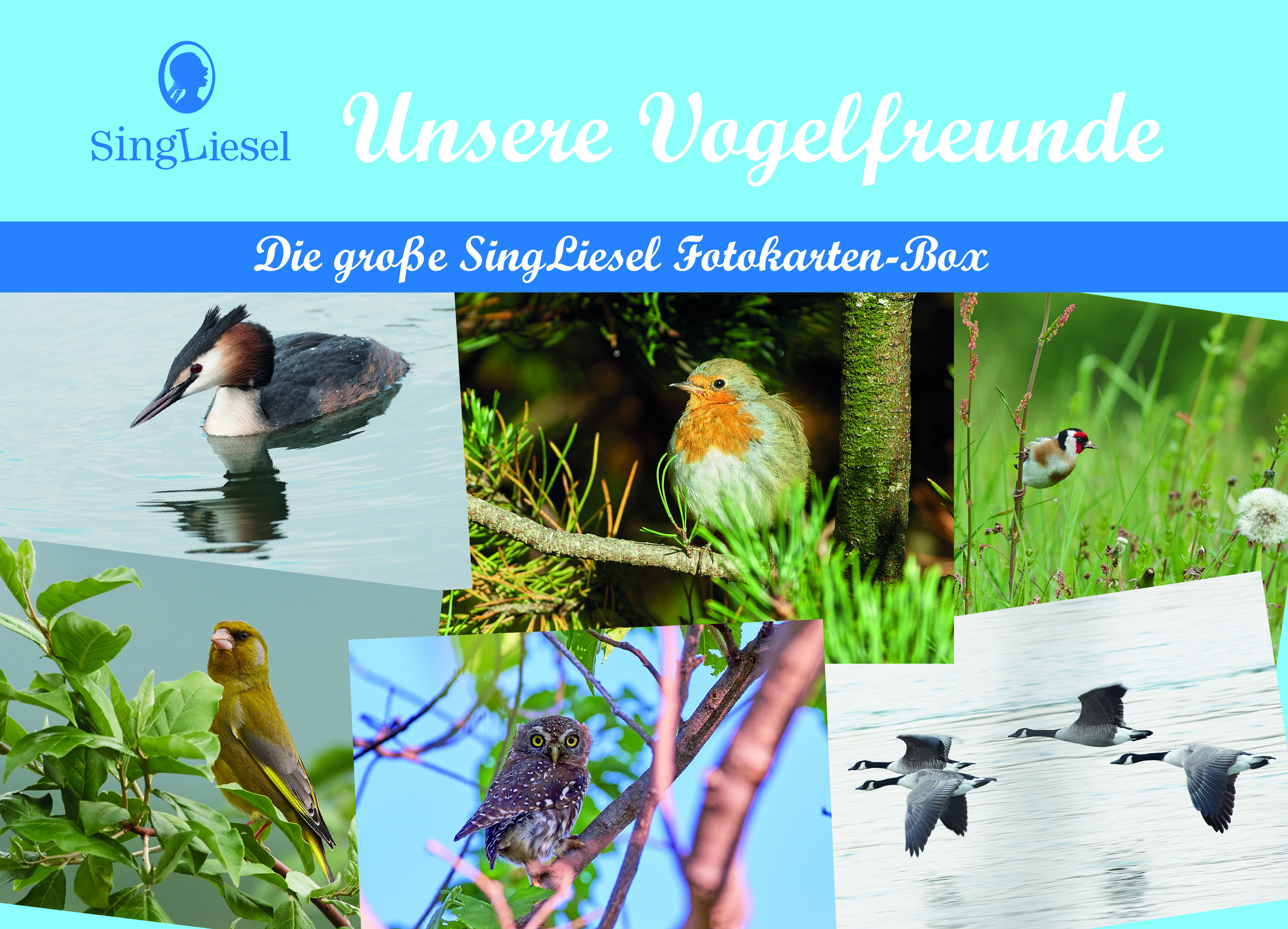 Cover: Die große Singliesel Fotokarten-Box - Unsere Vogelfreunde als Aktivierung und Beschäftigung mit Senioren mit Demenz Cover: Die große Singliesel Fotokarten-Box - Unsere Vogelfreunde als Aktivierung und Beschäftigung mit Senioren mit Demenz