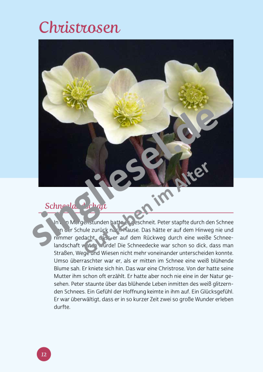 Beispielseiten aus der PDF Kurzaktivierungen im Winter für Senioren mit Demenz - kreative Ideen zum Thema Haus und Garten Beispielseiten aus der PDF Kurzaktivierungen im Winter für Senioren mit Demenz - kreative Ideen zum Thema Haus und Garten