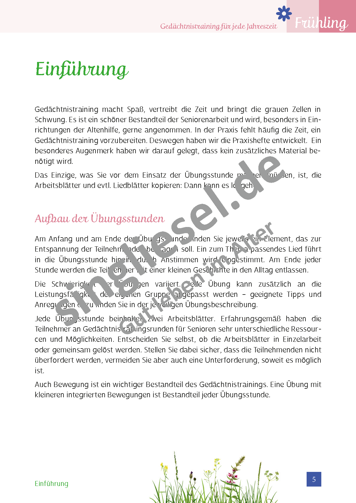 ESD-0001-036-004__Vorschau-5 Gedächtnistraining für Senioren Frühling Frühjahrsputz Einführung