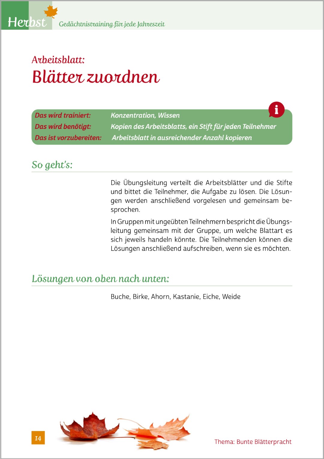 Beispielseite aus „Gedächtnistraining für jede Jahreszeit – Herbst“. Abgebildet ist die Übung „Blätter zuordnen“, bei der verschiedene Blätter einander richtig zugeordnet werden müssen.