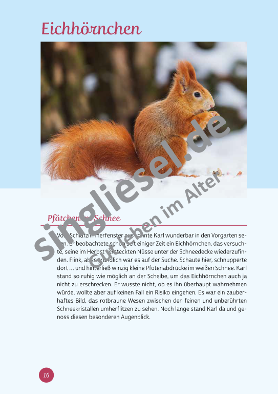 Beispielseiten aus der PDF Kurzaktivierungen im Winter für Senioren mit Demenz - kreative Ideen zum Thema Haus und Garten Beispielseiten aus der PDF Kurzaktivierungen im Winter für Senioren mit Demenz - kreative Ideen zum Thema Haus und Garten