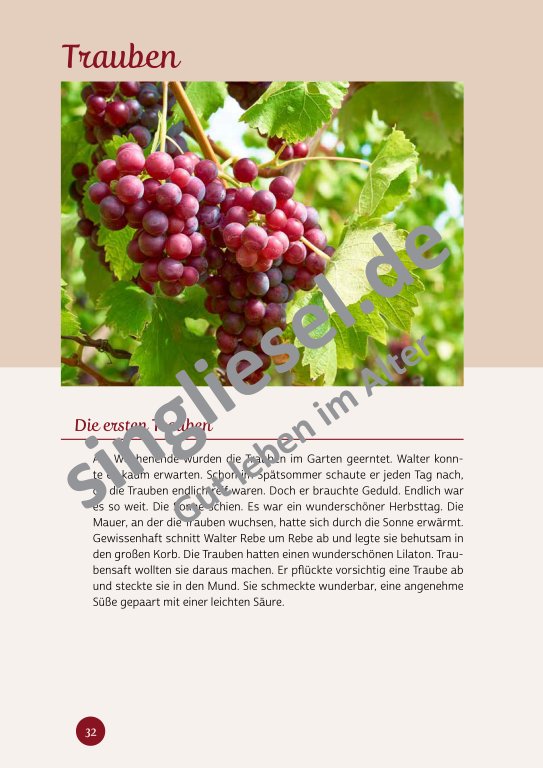 Beispielseiten aus der PDF Kurzaktivierungen im Herbst für Senioren mit Demenz - kreative Ideen zum Thema Essen Beispielseiten aus der PDF Kurzaktivierungen im Herbst für Senioren mit Demenz - kreative Ideen zum Thema Essen