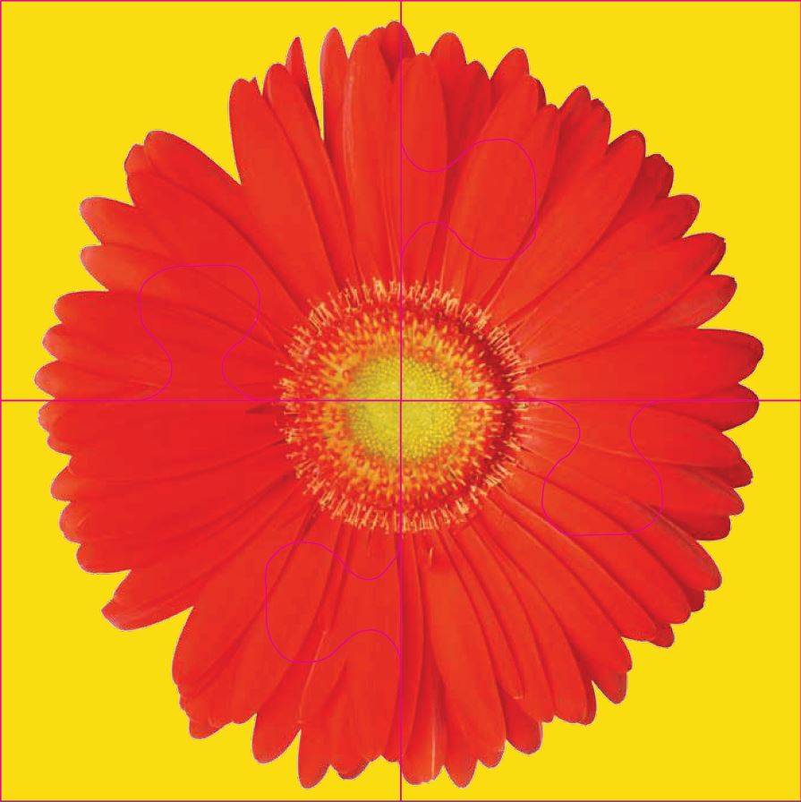 4280000809117-in0254ae4f8506dd9