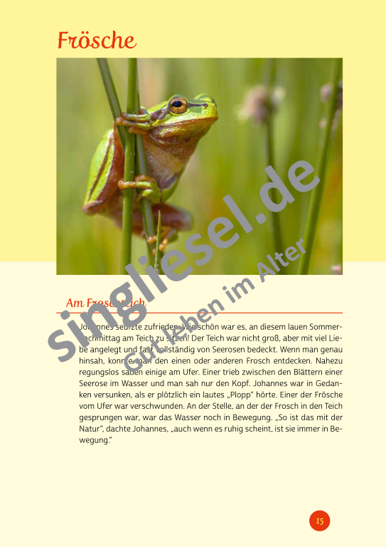 Beispielseiten der PDF: Kurzaktivierungen im Sommer - Beschätigungen für Senioren zum Thema Tiere im Sommer Beispielseiten der PDF: Kurzaktivierungen im Sommer - Beschätigungen für Senioren zum Thema Tiere im Sommer