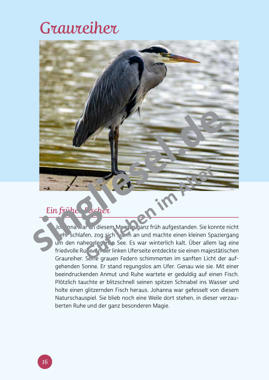 Beispielseiten aus der PDF Kurzaktivierung im Winter für Senioren mit Demenz - kreative Ideen für einen kunterbunten Winter Beispielseiten aus der PDF Kurzaktivierung im Winter für Senioren mit Demenz - kreative Ideen für einen kunterbunten Winter