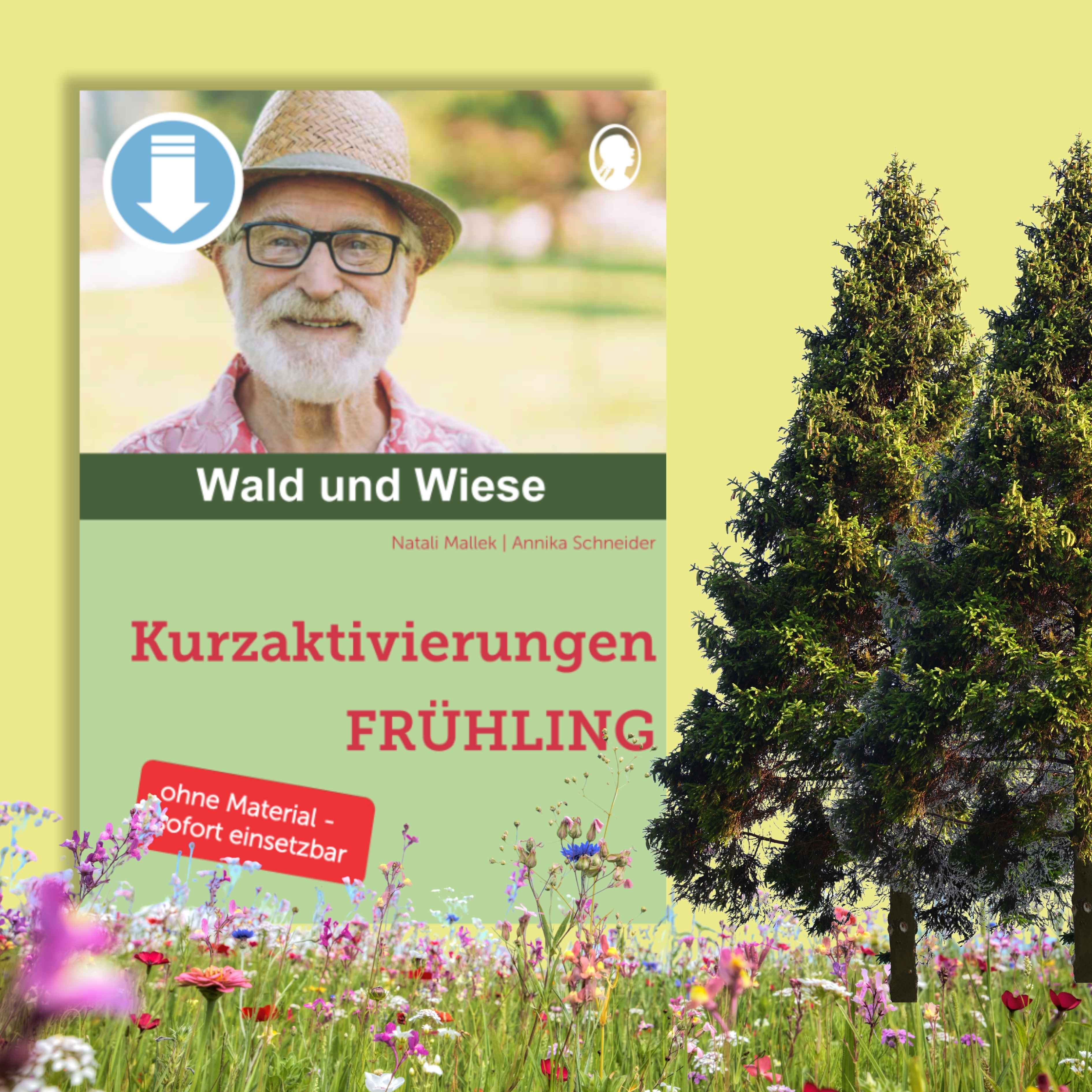 Blog-fruehlingserwachen-mit-natur-und-poesie-kurzaktivierungen-wald-und-wiese-vorschaubild