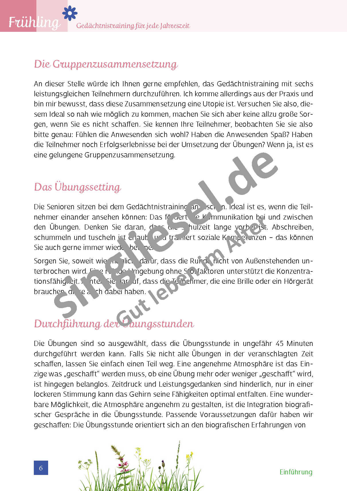 ESD-0001-036-004__Vorschau-6 Gedächtnistraining für Senioren Frühling Frühjahrsputz Einführung Teil 2