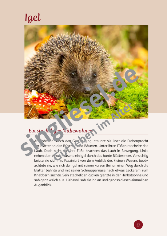 Beispielseiten der PDF: Kurzaktivierungen im Herbst - Beschätigungen für Senioren zum Thema Haus und Garten Beispielseiten der PDF: Kurzaktivierungen im Herbst - Beschätigungen für Senioren zum Thema Haus und Garten