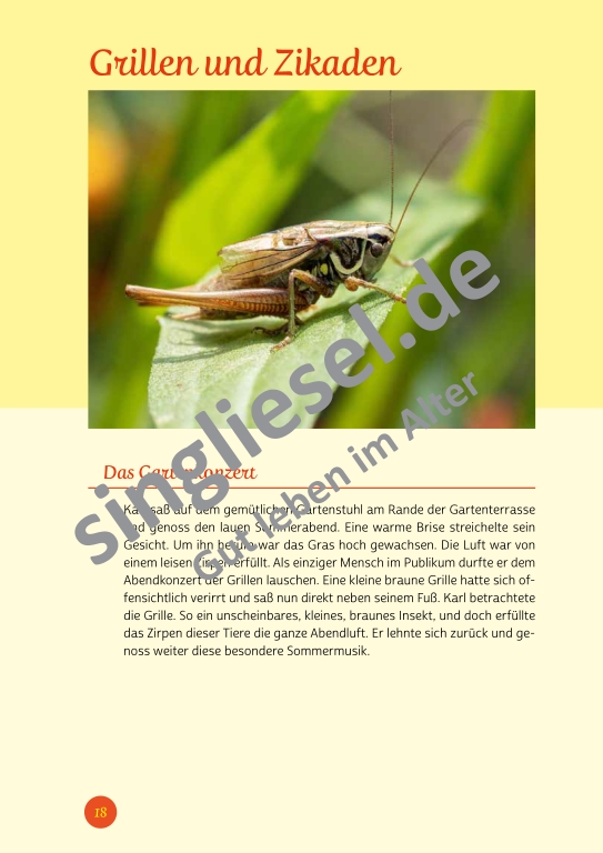 Beispielseiten der PDF: Kurzaktivierungen im Sommer - Beschätigungen für Senioren zum Thema Tiere im Sommer Beispielseiten der PDF: Kurzaktivierungen im Sommer - Beschätigungen für Senioren zum Thema Tiere im Sommer