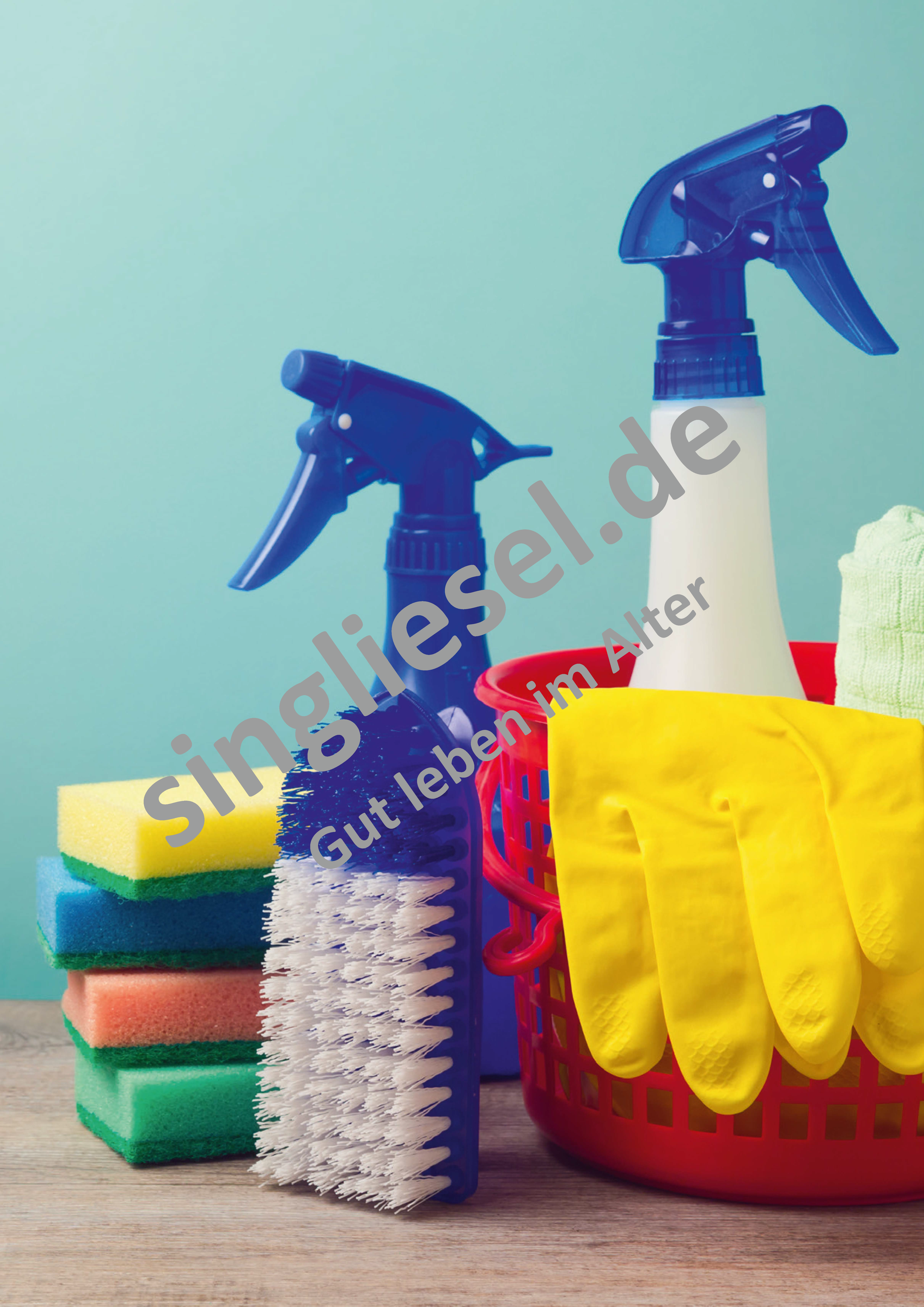 ESD-0001-036-004__Vorschau-8 Gedächtnistraining für Senioren Frühling Frühjahrsputz Schmuckbild