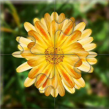 das-puzzle-fuer-menschen-mit-demenz-wiesenblumen-2
