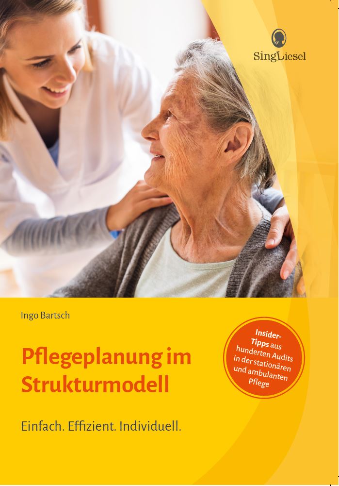 Cover: Dokumentation und Pflegeplanung im Strukturmodell - Ratgeber für Formulierungshilfen im SIS