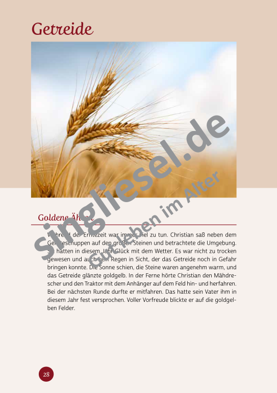 Beispielseiten der PDF: Kurzaktivierungen im Herbst - Beschätigungen für Senioren zum Thema Haus und Garten Beispielseiten der PDF: Kurzaktivierungen im Herbst - Beschätigungen für Senioren zum Thema Haus und Garten