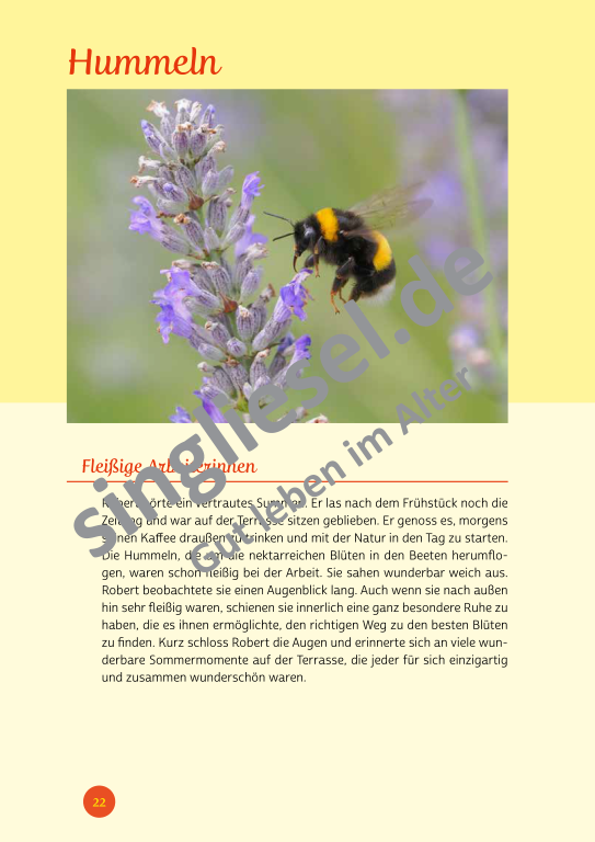 Beispielseiten der PDF: Kurzaktivierungen im Sommer - Beschätigungen für Senioren zum Thema Tiere im Sommer Beispielseiten der PDF: Kurzaktivierungen im Sommer - Beschätigungen für Senioren zum Thema Tiere im Sommer