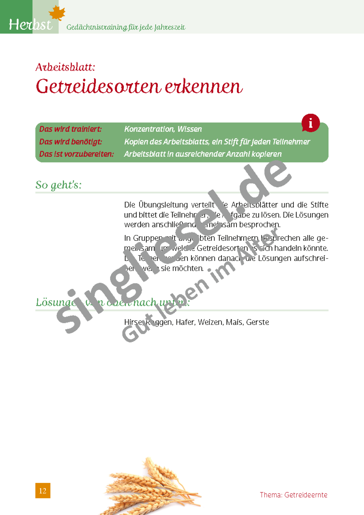 ESD-0001-024-002-Vorschau-128DOG8L4ewTvDM
