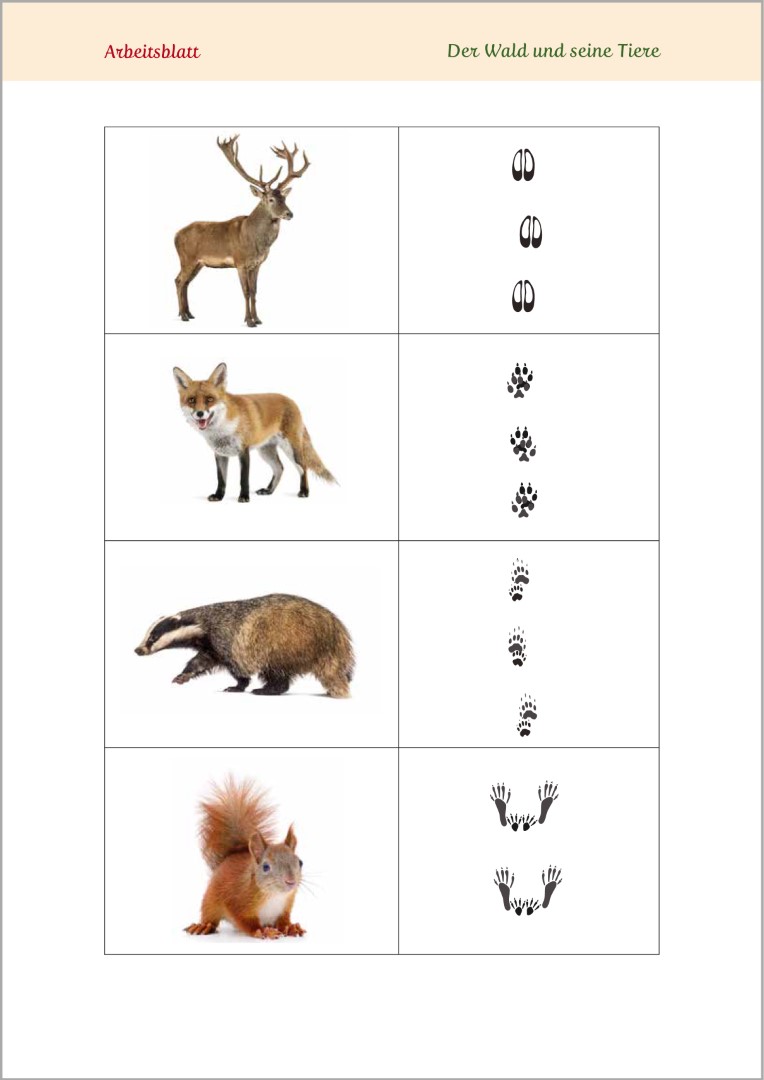 Beispielseite aus Gedächtnistraining für Senioren "Gehirnjogging für Naturliebhaber". Gezeigt wird eine Gedächtnisübung mit dem Titel „Silben zu Wetterwörtern kombinieren“. Die Übungen eignen sich ideal zur Aktivierung von Senioren.