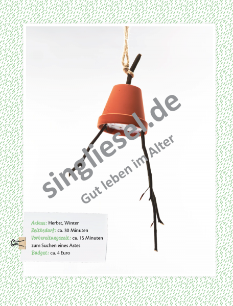 Basteln mit Senioren Tolle Bastelideen mit Naturmaterialien Sofort-Download als PDF Vogelfutter Glocke 